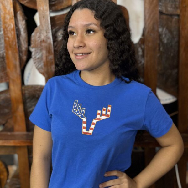 CAMISETA REGULAR GROSS ESTAMPADA FEMININO - T524030 - AZUL SAFIRA - P