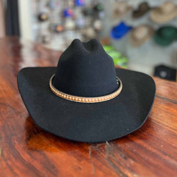 BANDINHA DE CHAPEU MIÇANGA