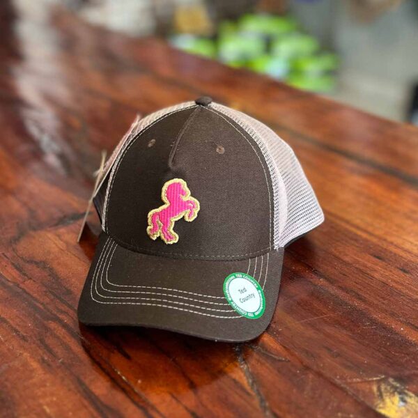 BONÉ INFANTIL TED COUNTRY MARROM CAVALO ROSA