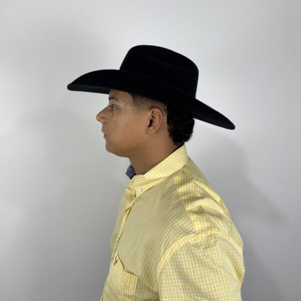 CHAPEU COUNTRY LA PRETO FORMADO - Image 4