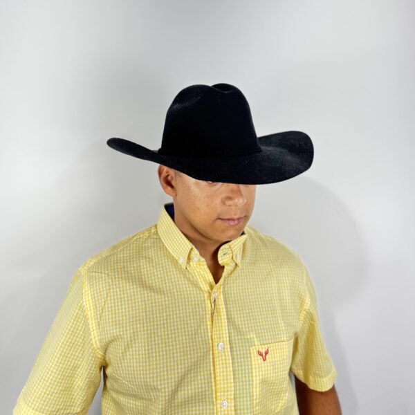 CHAPEU COUNTRY LA PRETO FORMADO