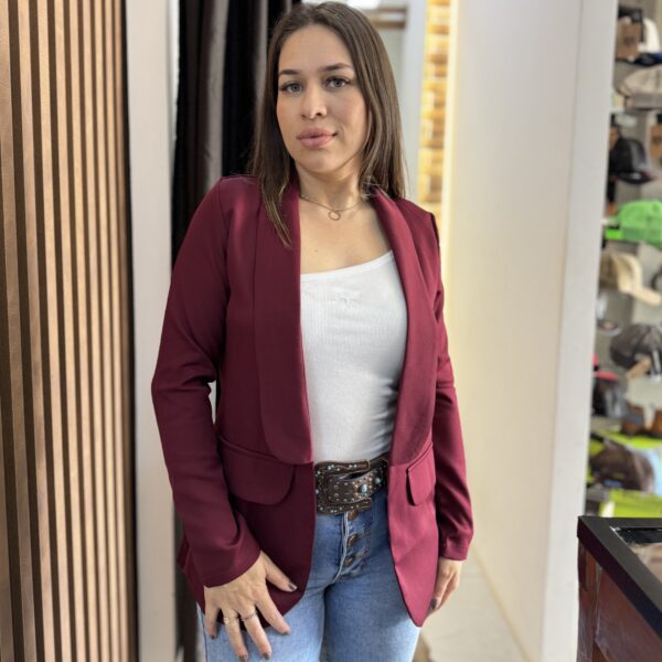 BLAZER ALFAIATARIA CORES VARIADAS